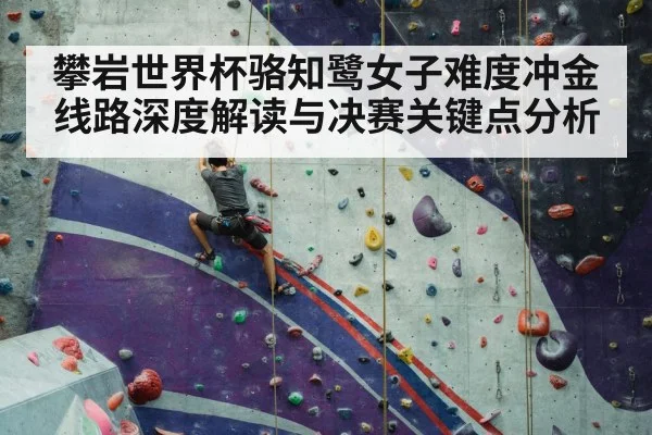 sport climbing competition wall